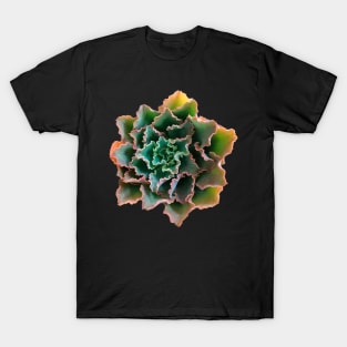 Suculenta Echeveria Dorothy T-Shirt